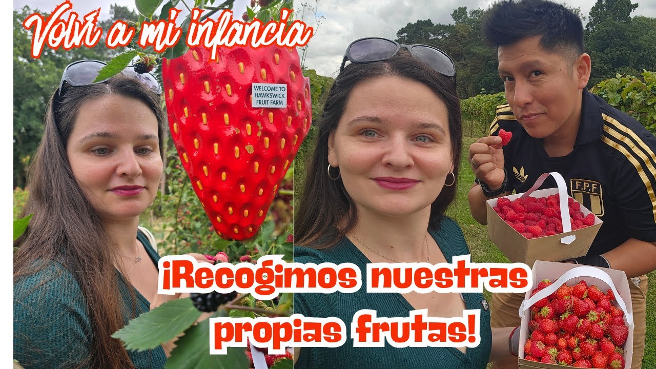 Actividad de verano en Londres ☀️🍓 | Visitamos una granja para recoger frutas