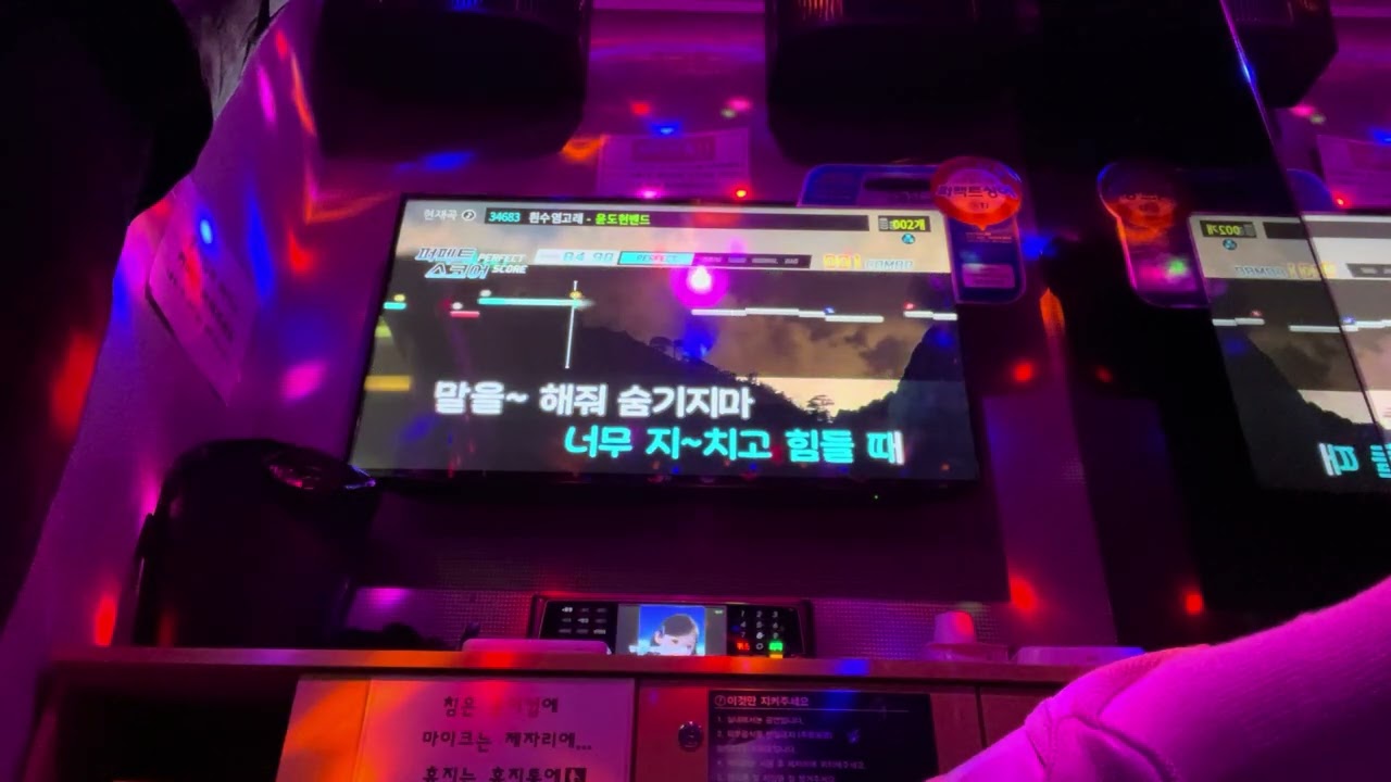 [DAY8] 흰수염고래 - 26.01.28.(수)