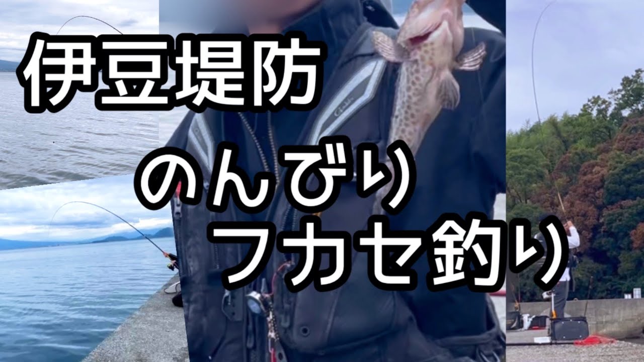 伊豆の堤防でみんなでのんびりフカセ釣り