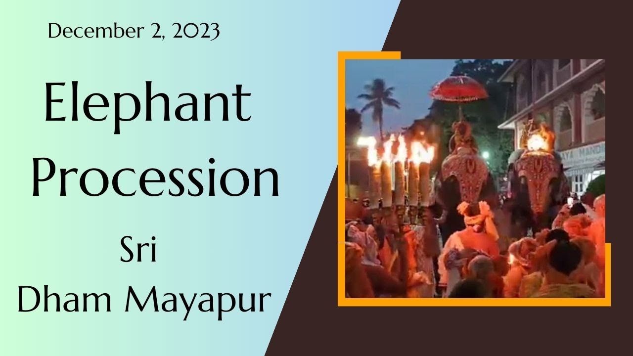 Elephant Procession Sri Dham Mayapur - December2, 2023