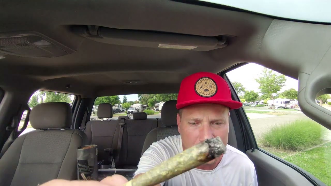 Krypto Chronic #1 by fig farm total thc 49.52