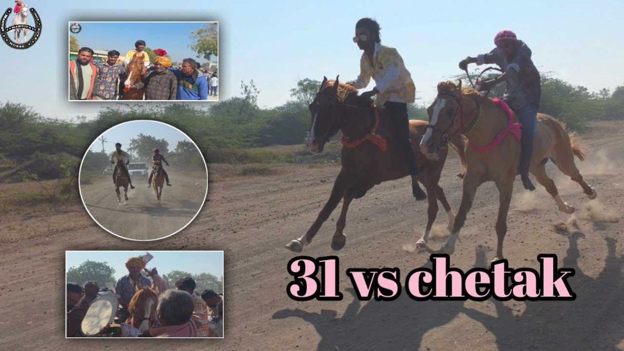 || Horse Race in masitiya { 19 / 12 / 2025 } 🌹Bhamarsha🌹pir🌹  Urs🌹 ke din ki rase || chetak vs 31