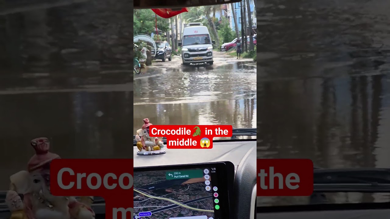 Ugh, the rain here and the state of these roads 🤔 #ytshorts #naazsfoodandmom