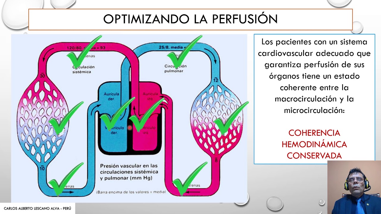 VALORACIÓN MICROHEMODINÁMICA EN EL SHOCK SÉPTICO