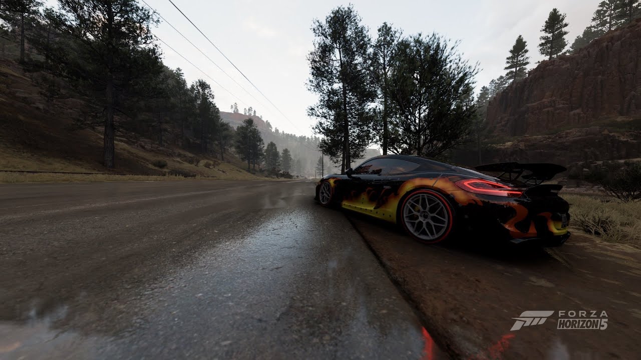 Porsche Cayman GT4 2016 - FORZA HORIZON 5 | HD MAXIMUM SETTINGS