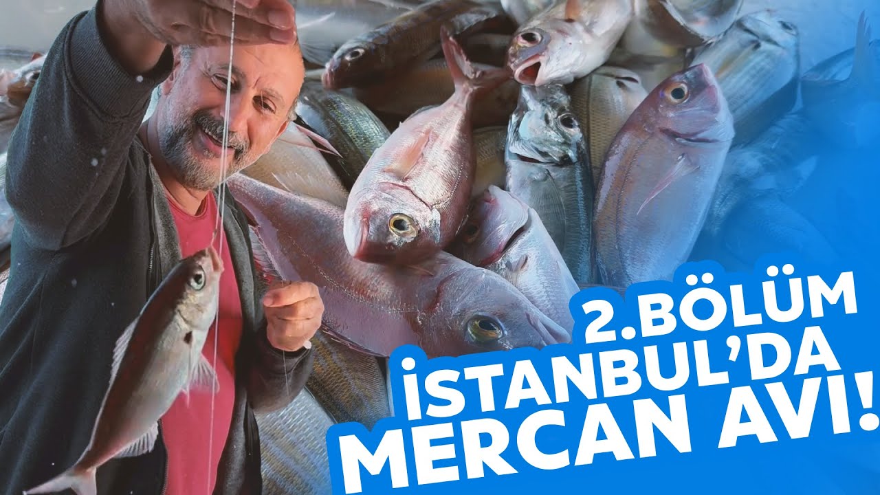 İSTANBUL'DA ÇEKMESİ UZUN, TUTMASI ZEVKLİ MERCAN AVI! 2