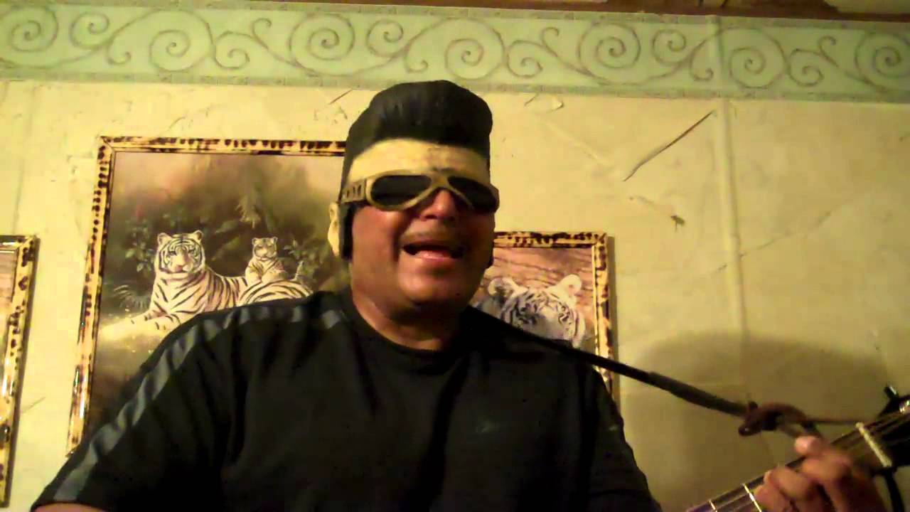 Teddy Bear/Elvis /ChatoBoy Cover