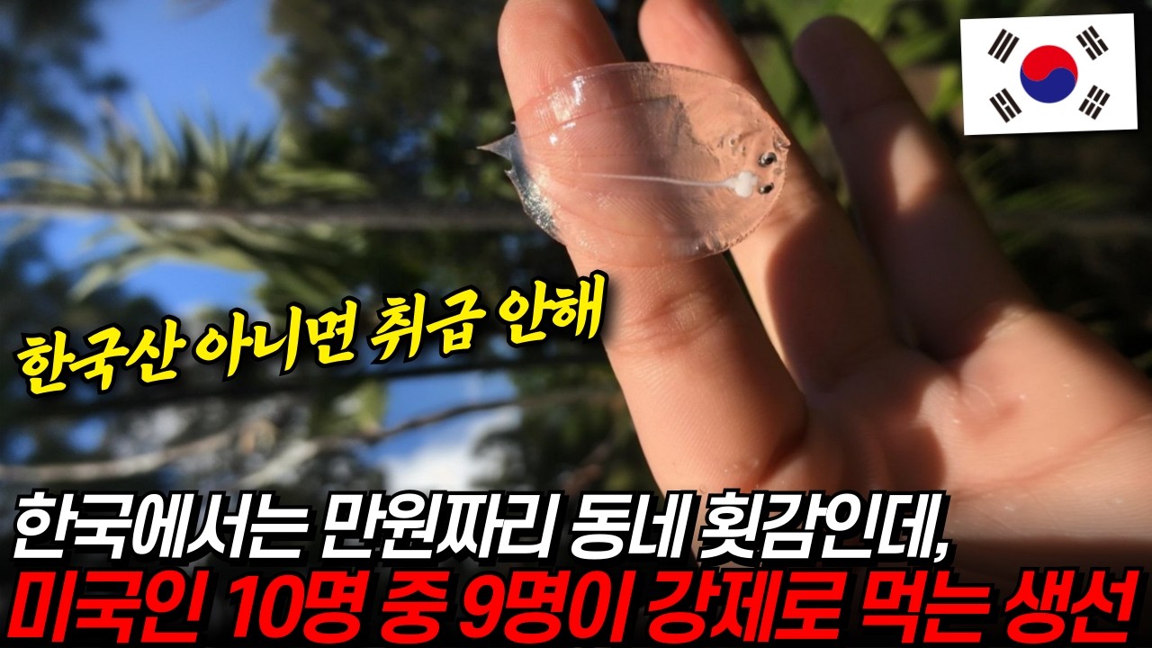 미국인 100명 중 99명이 먹어야 하는 한국 생선 (feat. 미국 현지 반응)