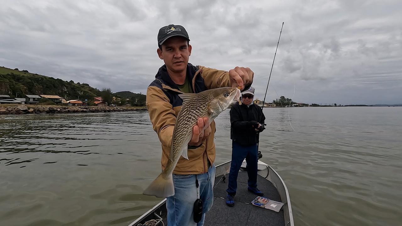 Corvina na isca artificial, pescaria no canal da barra! #pesca #corvina