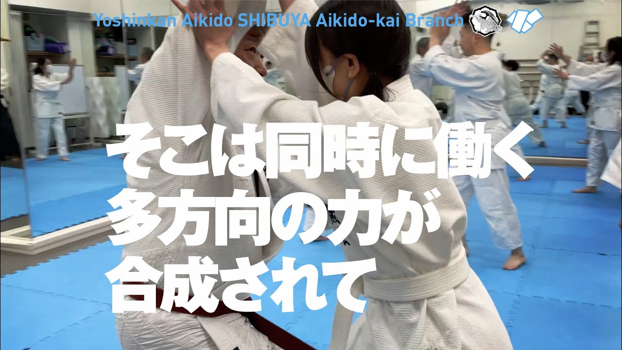 ［そこは同時に働く多方向の力が合成されて］養神館合気道 渋谷合気道会の稽古