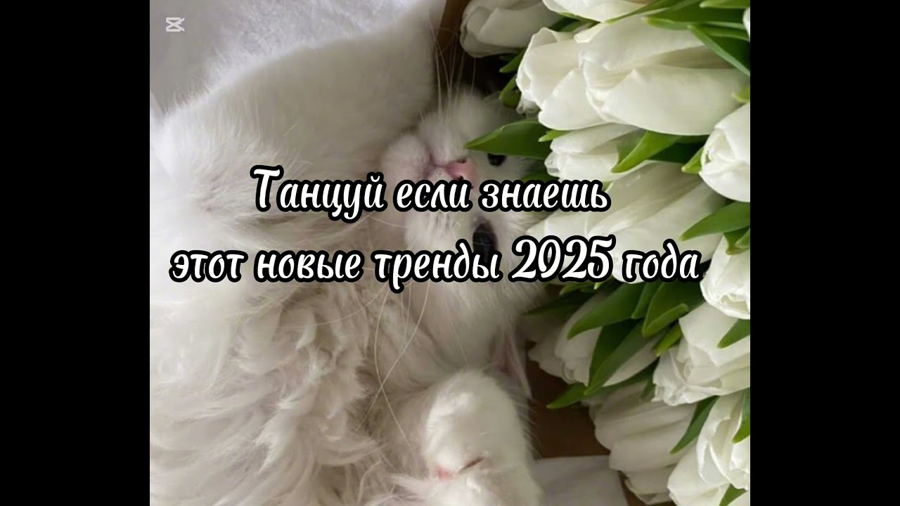 Тренды 2025 года #тренды 