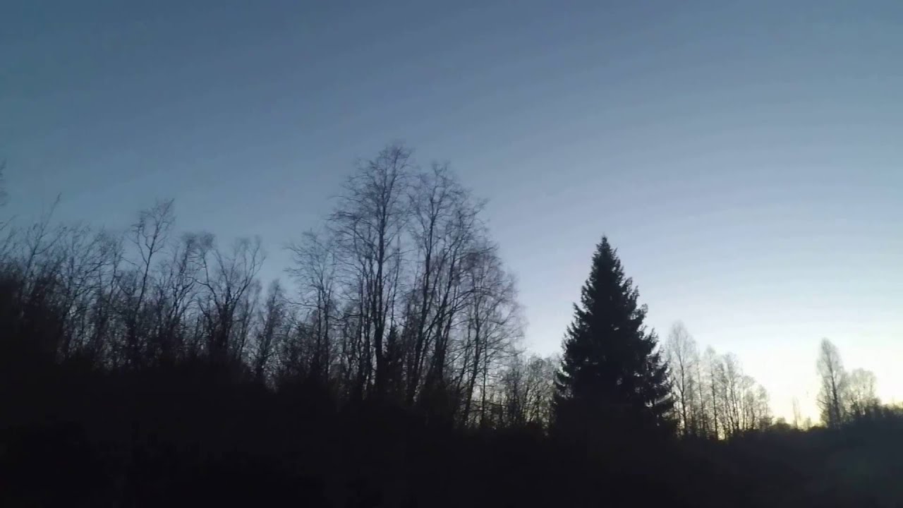 Охота на вальдшнепа. Die Jagd auf die Waldschnepfe.