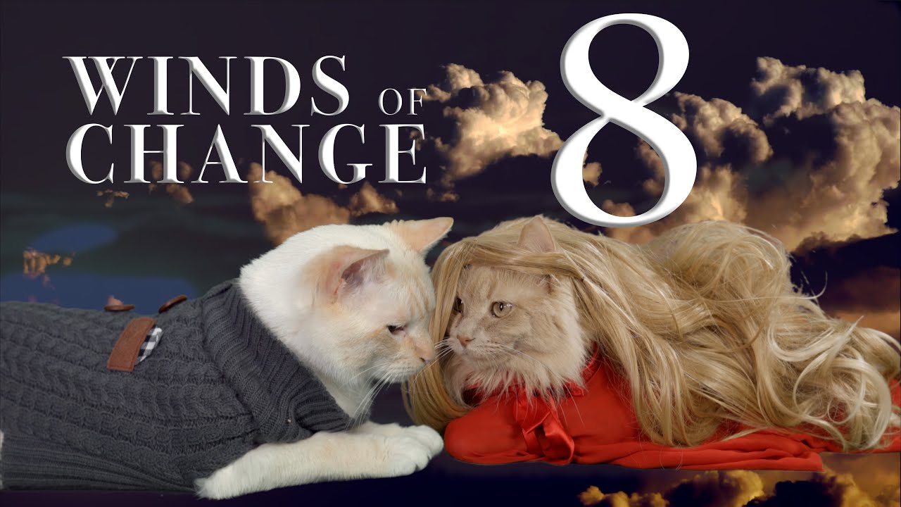 Winds of Change (Cat Soap Opera) Episode 8