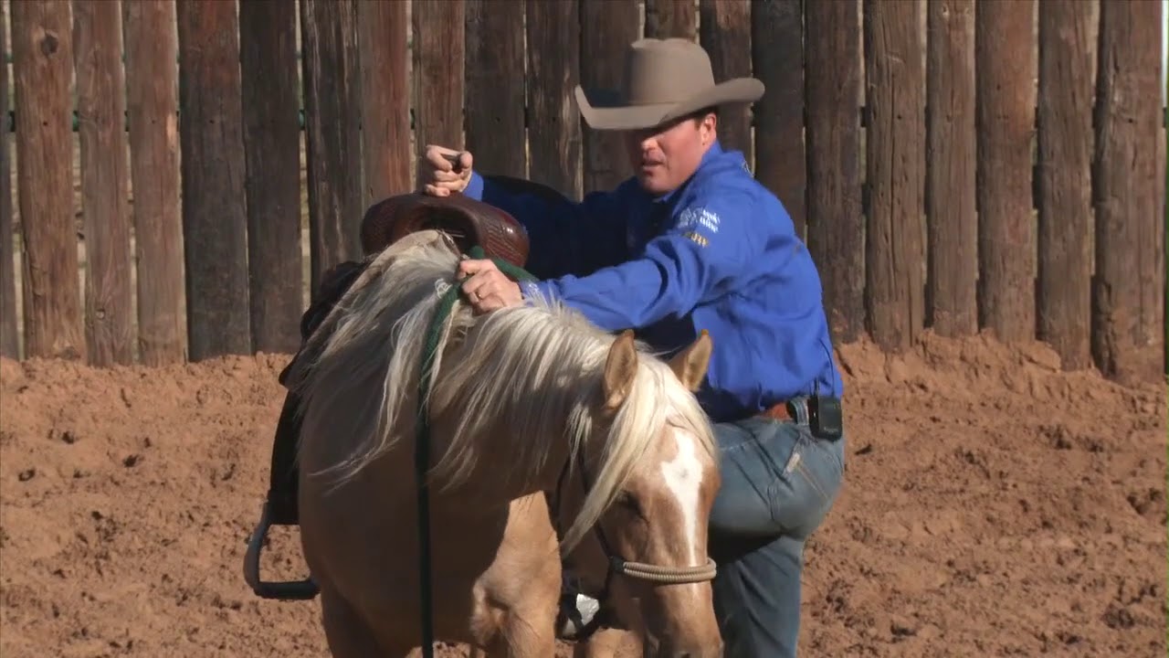 Casey Deary Starting 2 Year Old Colts Part 3