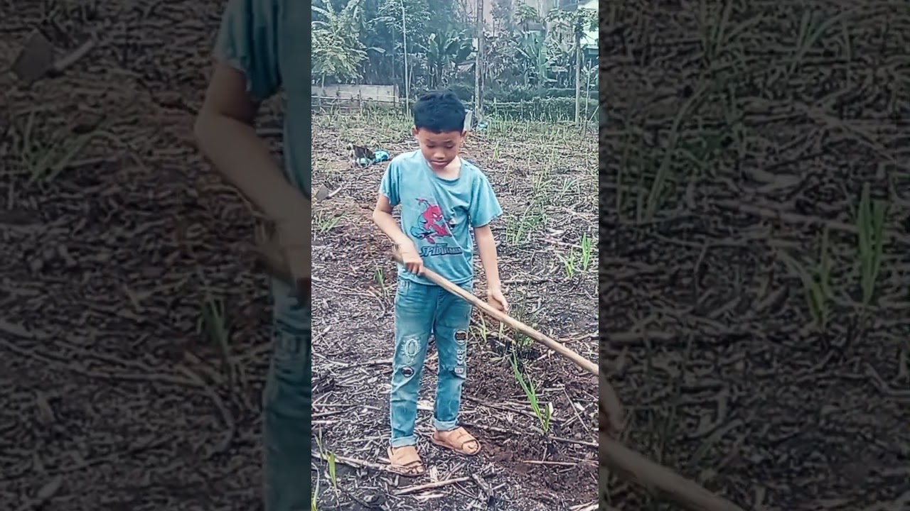 Những c&ocirc;ng việc vất vả của cậu b&eacute; #huongvidongquetv #orphan #orphanboy #tet #chợtết #choxuan #shorts