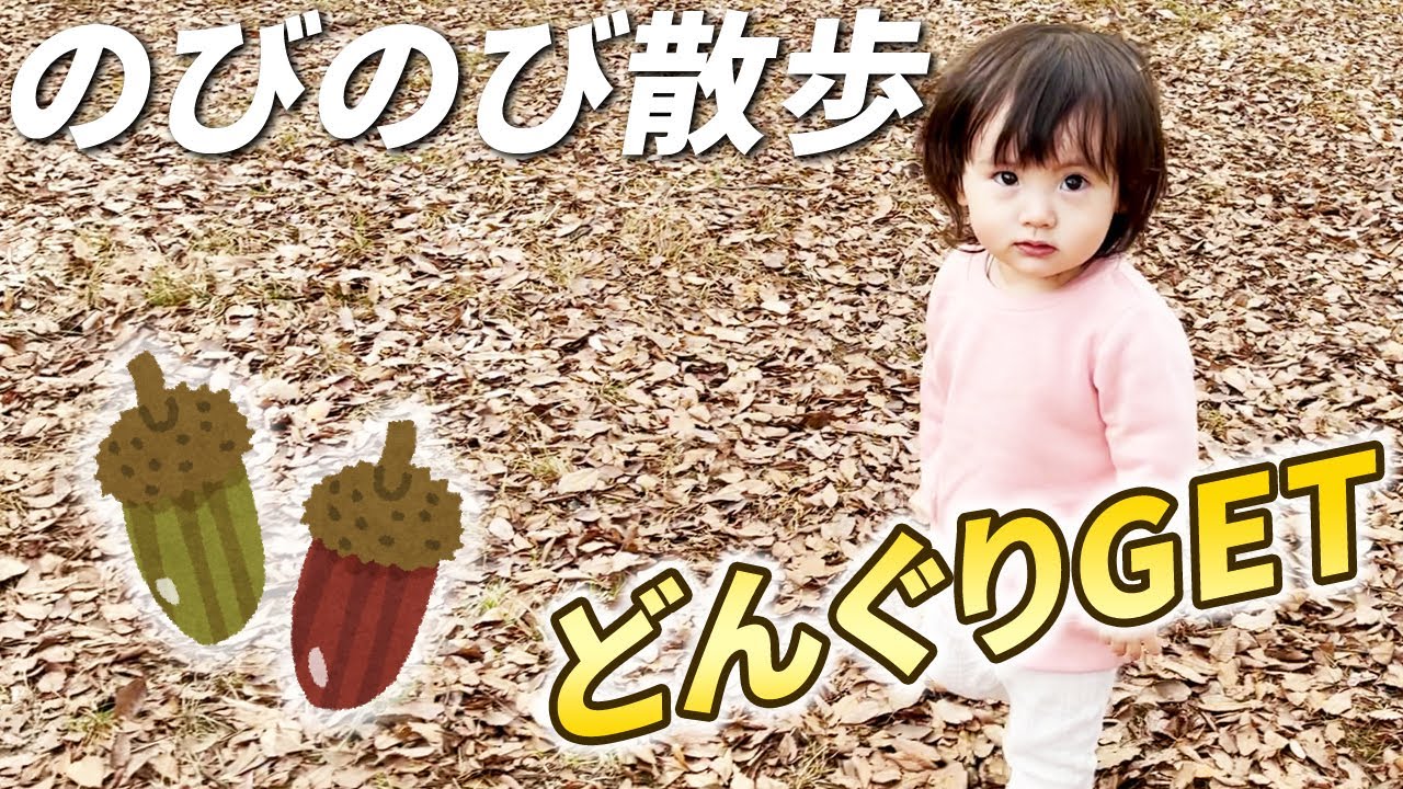 広い芝コースをのびのび散歩！落ち葉コースでどんぐりを手に入れた1歳娘　／　Japanese 1 year old girl walk.🍁