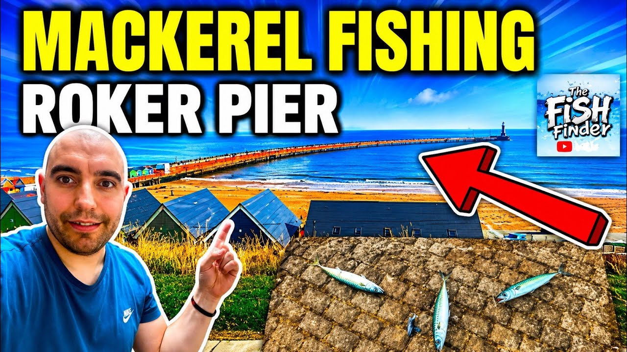 Mackerel Fishing On Roker Pier Summer 2025