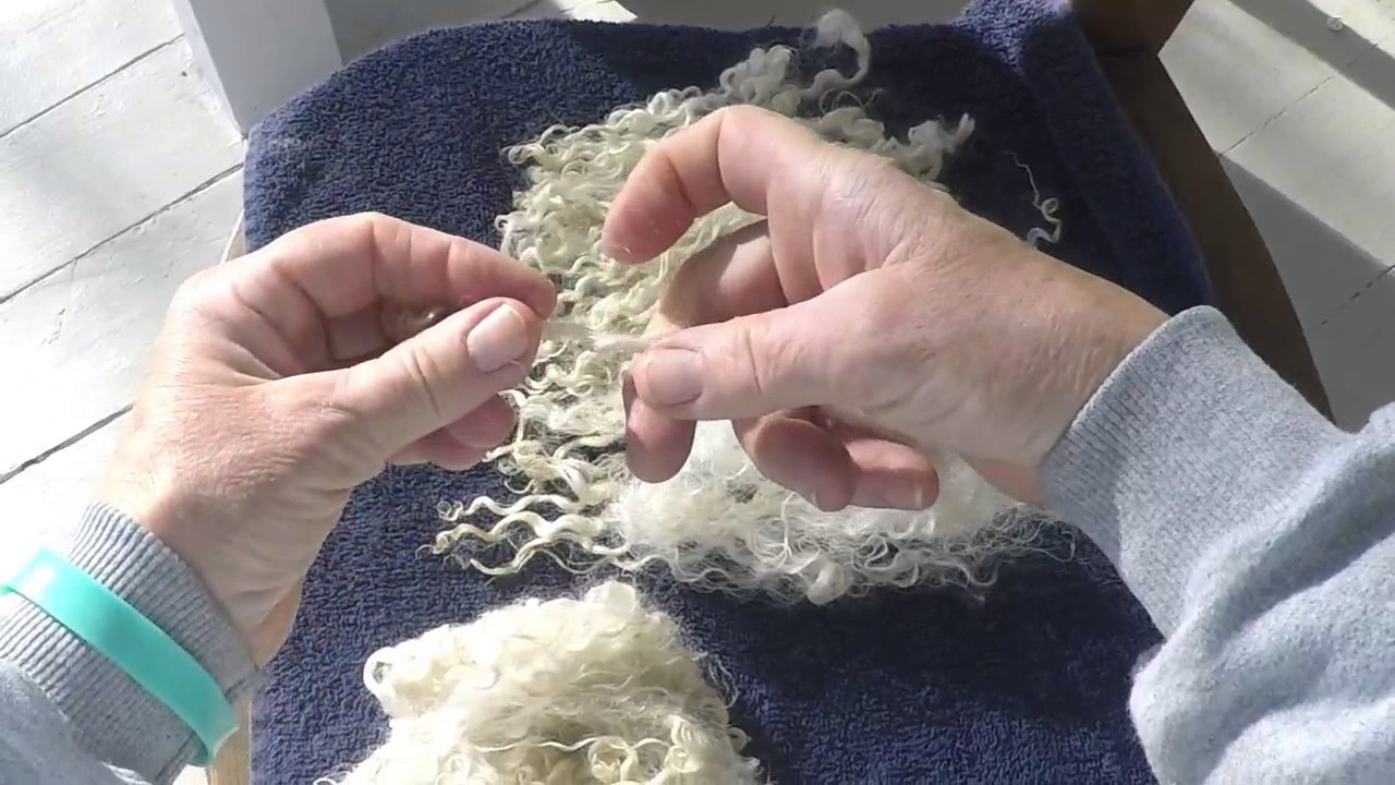 Shepherds Talk .  . . Laying out your Locks for Spinning Art Yarn