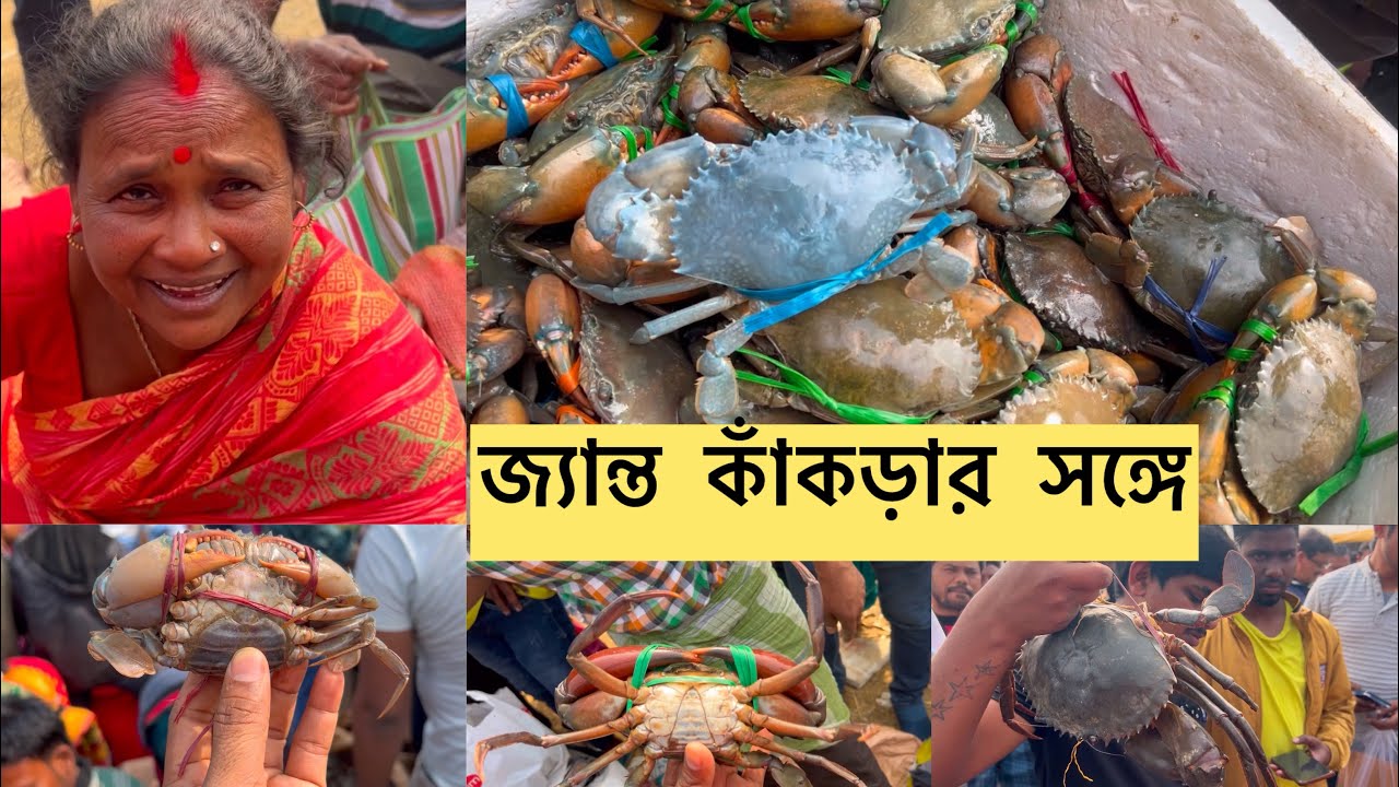 সিংটি গ্রামের প্রায় ৫০০ বছরেরও বেশি প্রাচীন ভাই খাঁ পীরের মেলা | KING SIZE CRAB 🦀 | BIG CRAB Fair