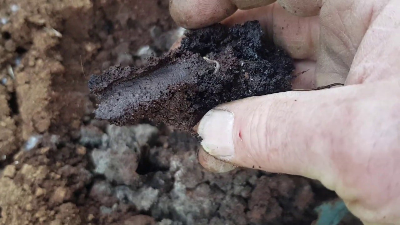A long term garden mulching/worm farm experiment with coffee grounds, cardboard, paper & more!