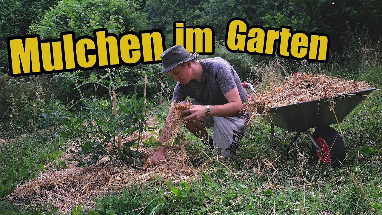 Mulchen im Garten - die KOMPLETTE Anleitung 🌱