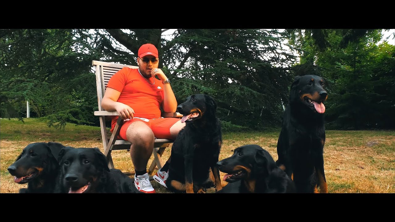 Reda - Zoo’mba