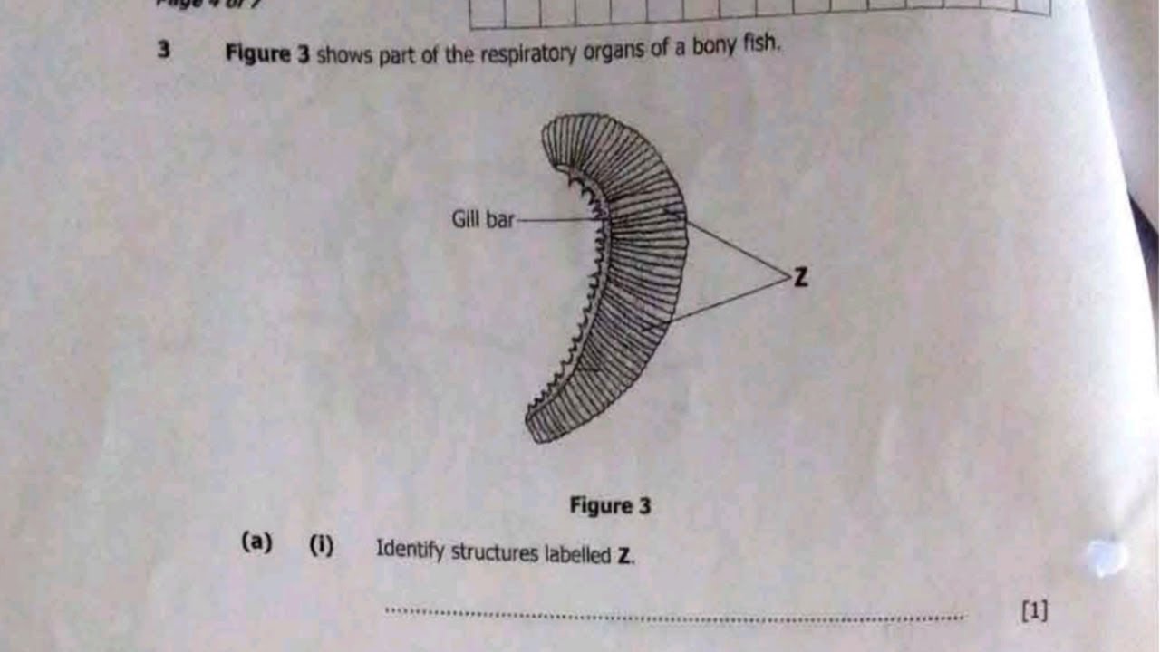 2023 GCE ECZ Biology Paper 2 – Section A Q3