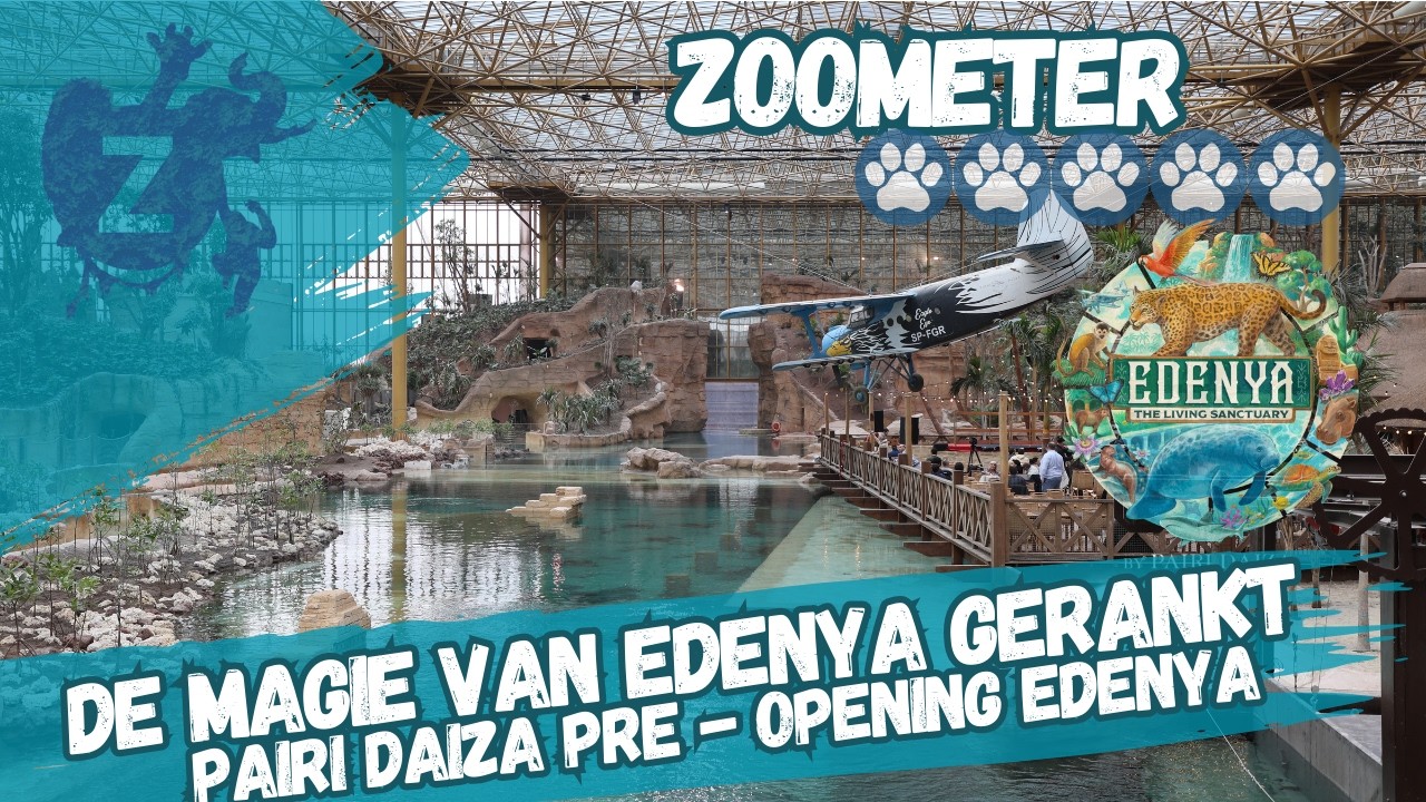 Edenya: Gehypet of Geniaal? Onze Ranking!