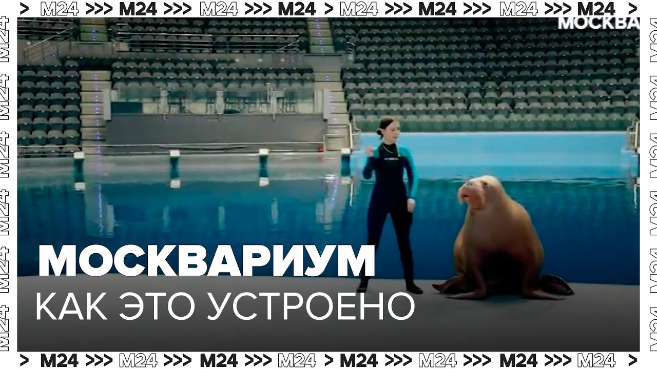 Москвариум на ВДНХ, как это устроено - Москва 24
