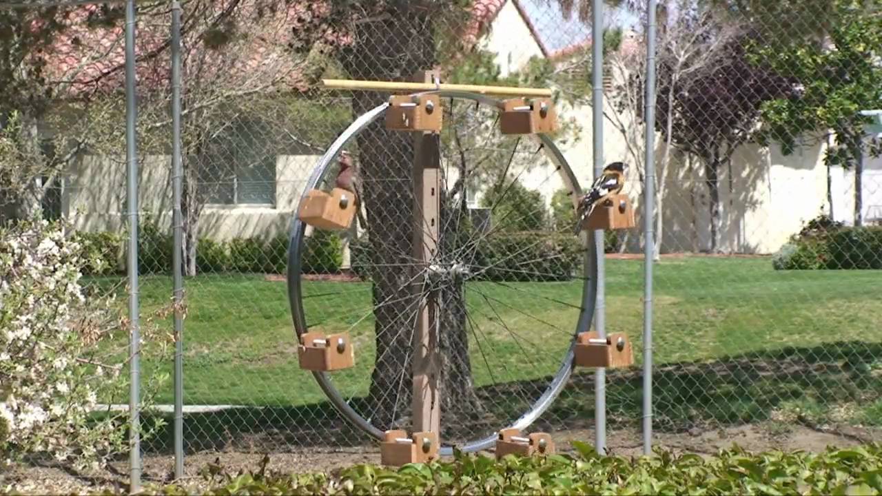 Ferris Wheel Bird Feeder