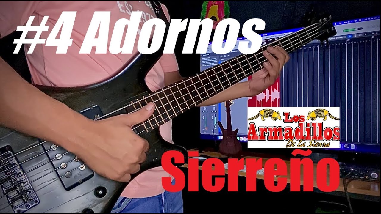 #4 Adornos Siérreño En Bajo Eléctrico