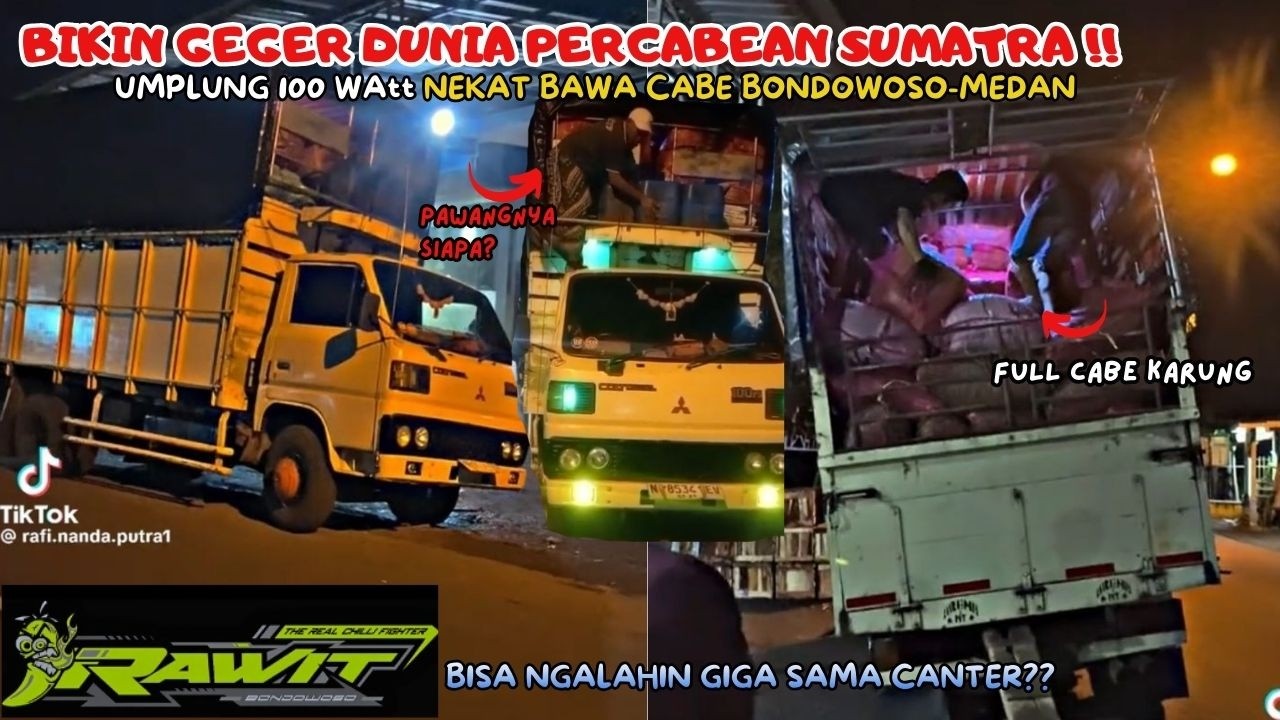 YANG LAGI VIRAL UMPLUNG 100 PS MUAT CABE BONDOWOSO JAMBI‼️INILAH PAWANG MISTERIUSNYA SAM