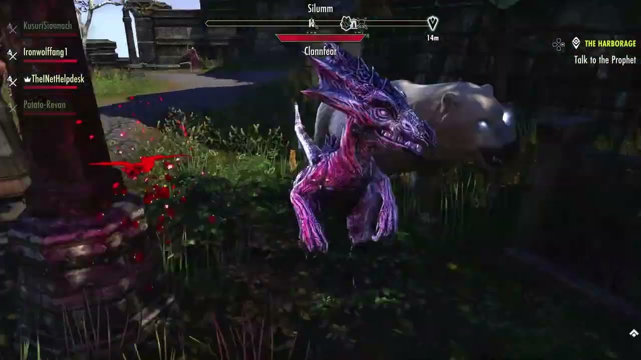 The Remedial Pirates play Elder Scrolls Online