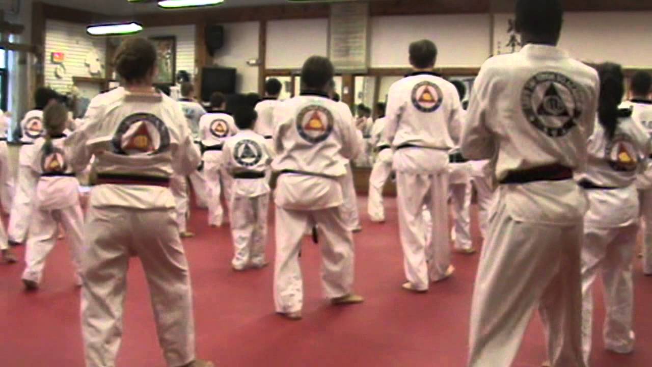 Lees Tae Kwon Do Academy