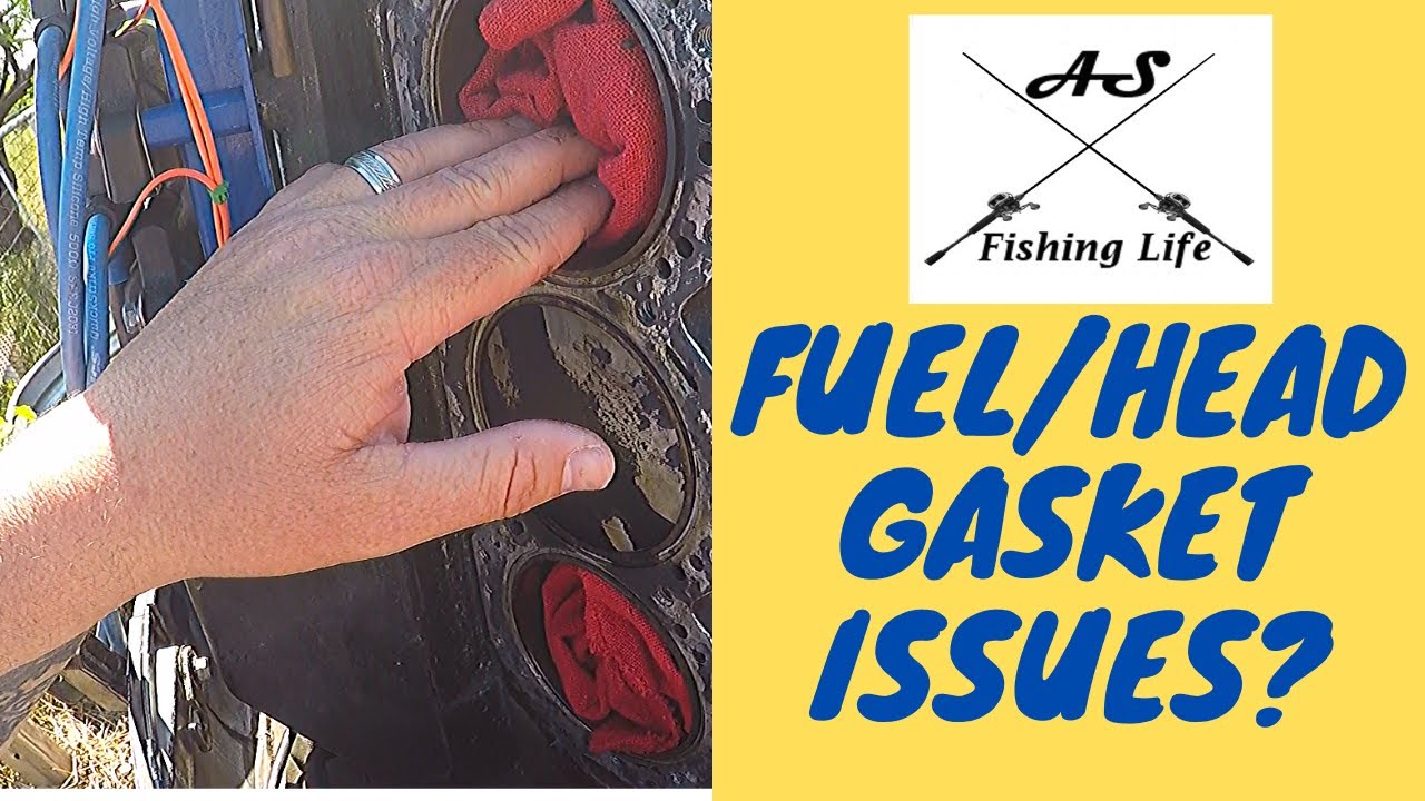 Fuel/Head Gasket Issues Johnson Evinrude 150