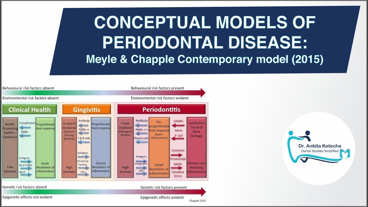 CONTEMPORARY MODEL OF PERIODONTAL DISEASE/DYSBIOSIS/CONCEPTUAL NON LINEAR MODEL/MEYLE & CHAPPLE 2015