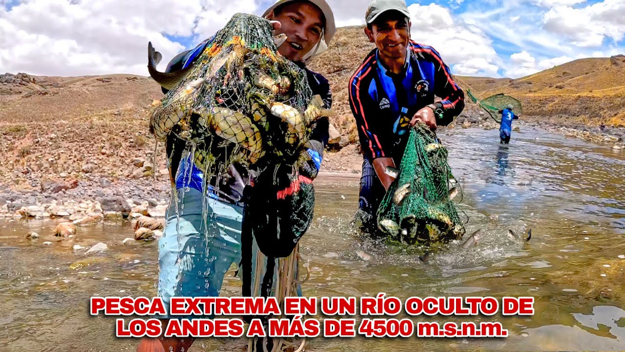 ¡Wou! Capturamos MUCHOS PECES en un río oculto de los ANDES y esto COCINAMOS a mas de 4500 m.s.n.m.