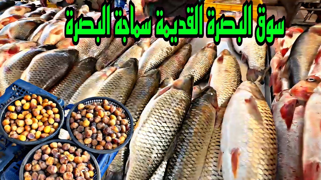 سوق البصرة القديمة أسعار التمر بانواعه والسمك#أحمد_مهدي 