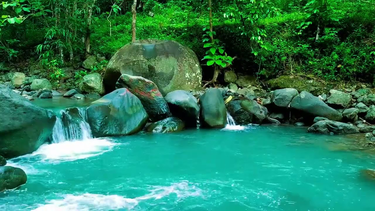 Calming Forest Ambience - River Flowing in Hidden Forest Ambience for Rest, Medicine