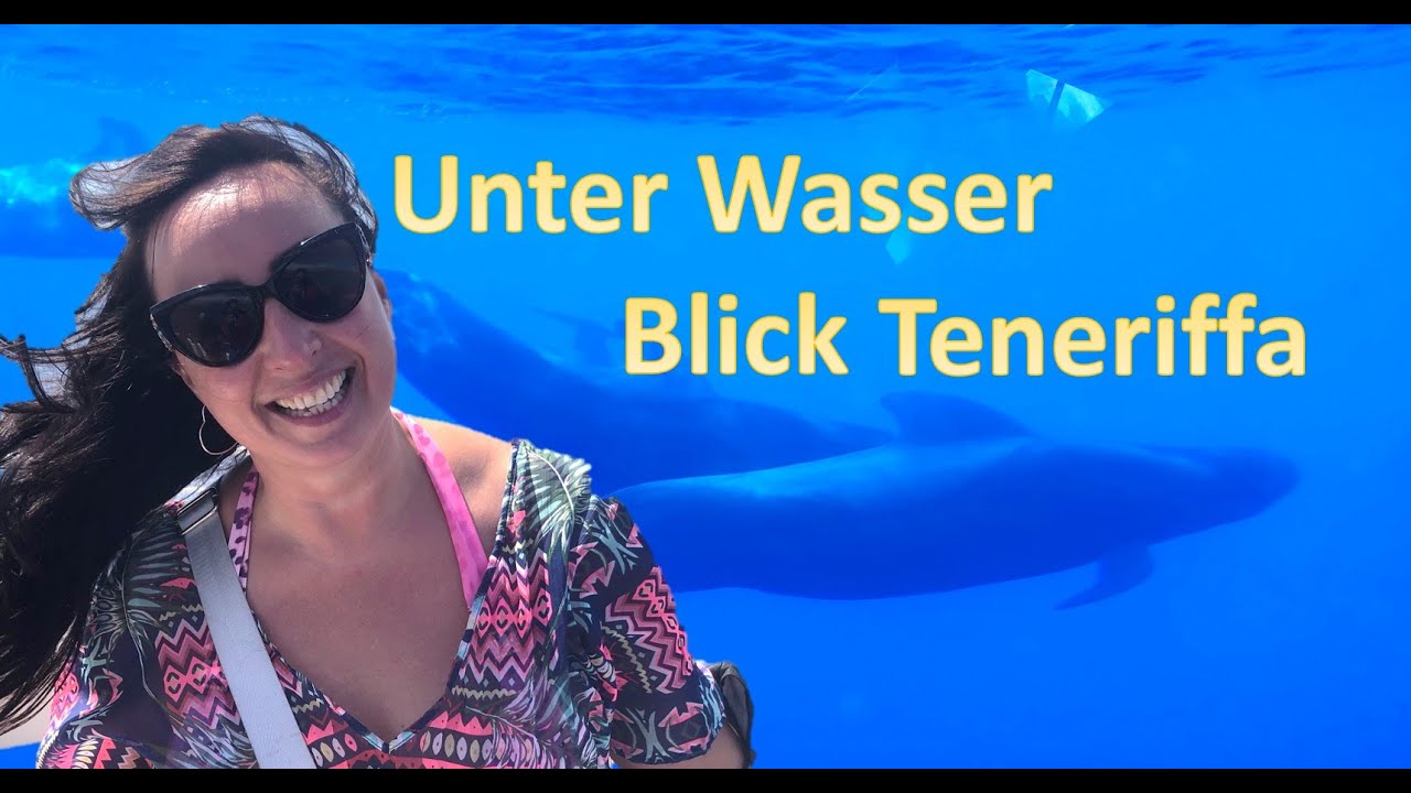 Delfine und Wale Tour Teneriffa