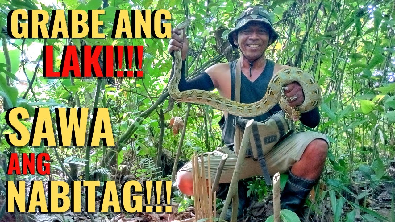 MUSANG ANG HANAP PERO SAWA ANG NAHAGILAP || PVC TRAP || JUAN LAGALAG || Python Hunting Part 1