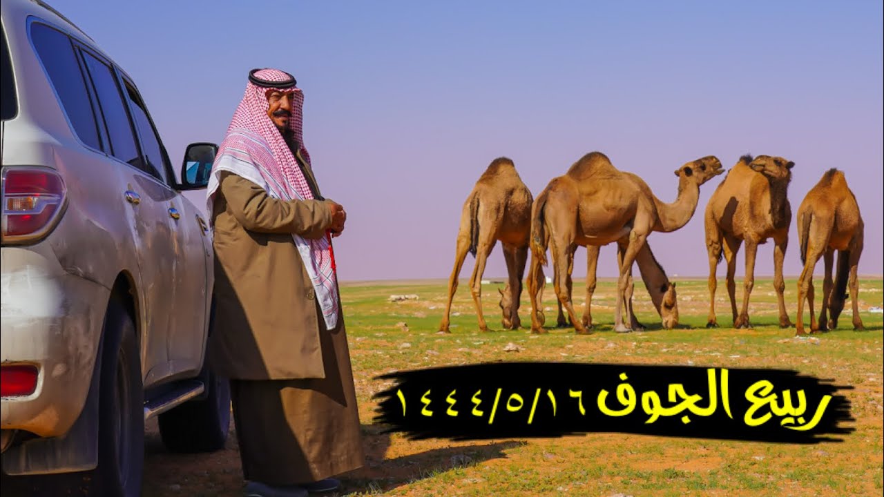 سلسلة الصحراء _ من القريه الى النفود