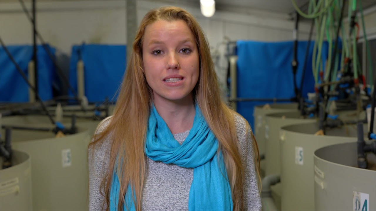 Tour of the Robert H. Smith Faculty of Agriculture, Food, and Environment