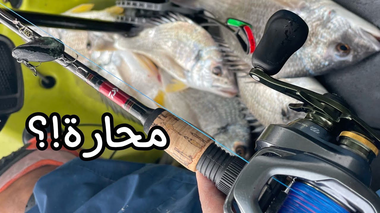 صيد شعم  بالمحاره ؟!  Bream on mussel