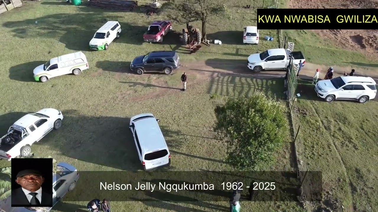 Nelson Jelly Drone 1 