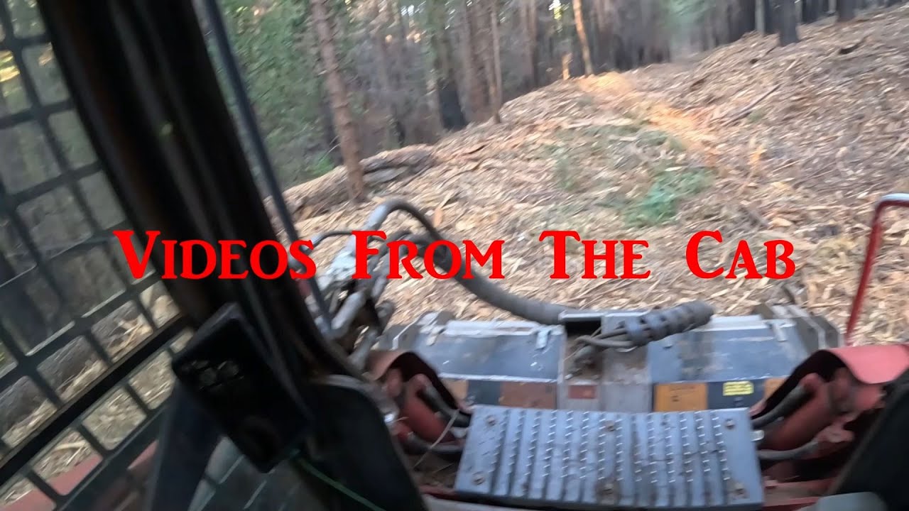 Forest Mastication With The FAE Sonic Head and Takeuchi TL12. ASMR