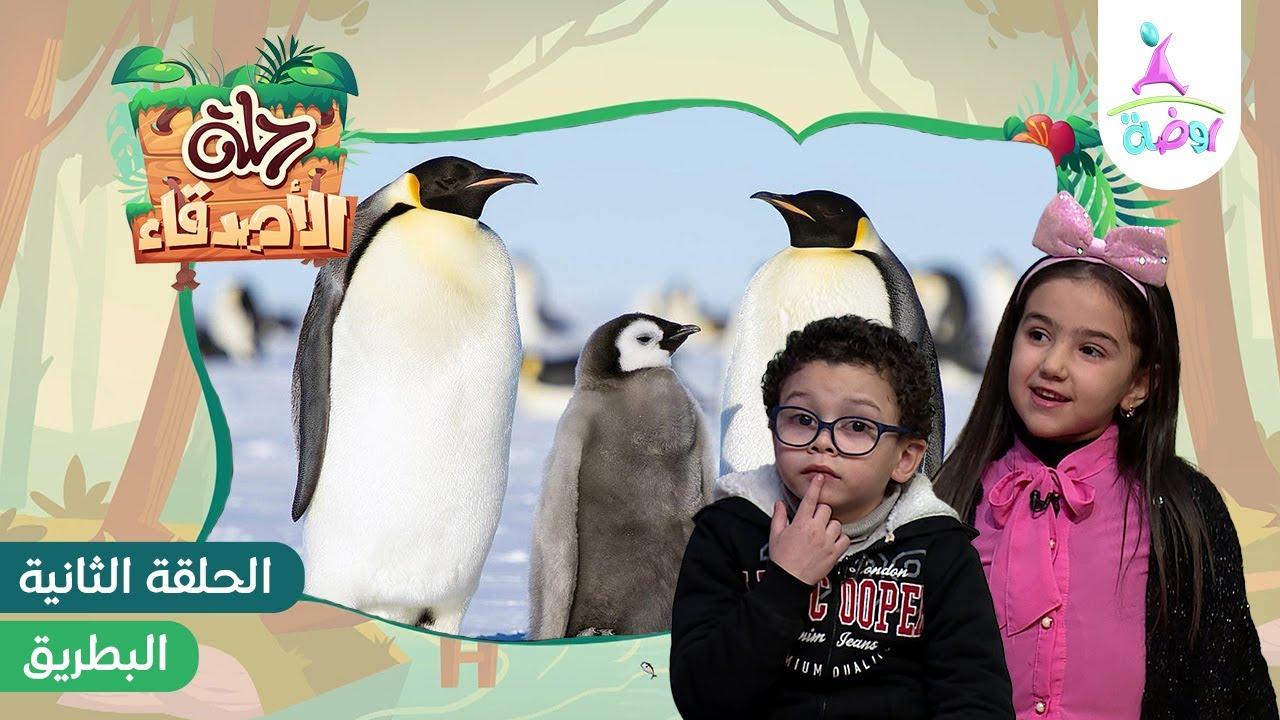 رحلة الأصدقاء عاليا ومحمد إلى الجليد 🏔️ (للتعرف على البطريق) 🐧 | قناة روضة للأطفال