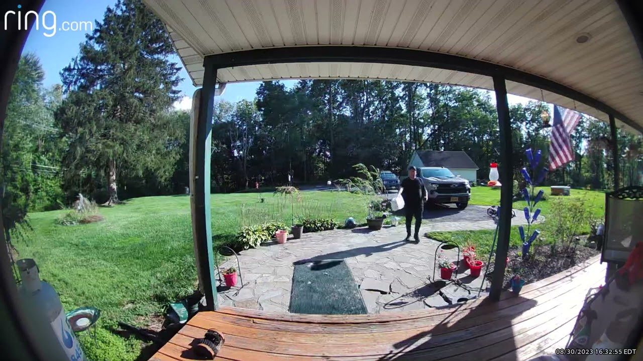 Temu reviews: This is how your driver's deliver packages?? | PissedConsumer.com