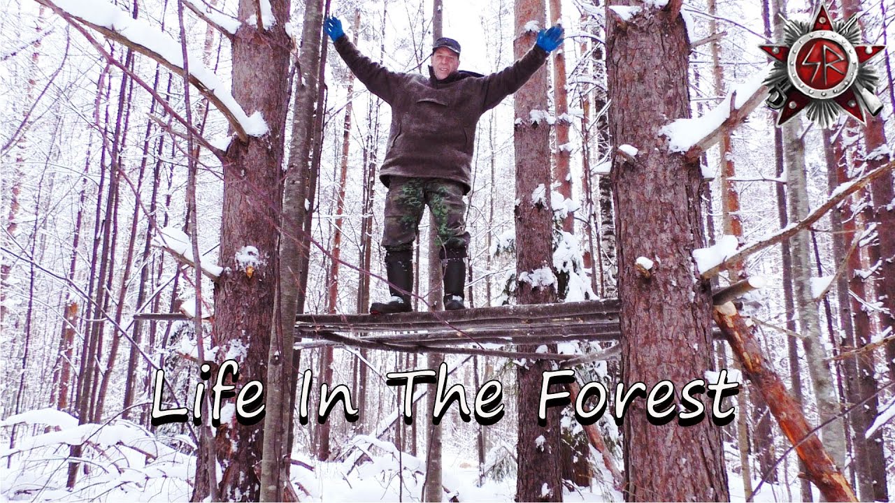 How The Siberian Natives Make A Platform For Storage And Sleeping In The Forest.