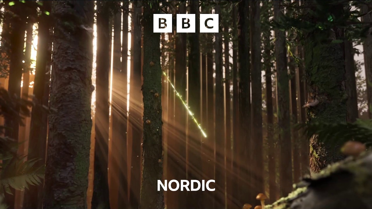 BBC Nordic (Netherlands) - Continuity (February 21, 2026)
